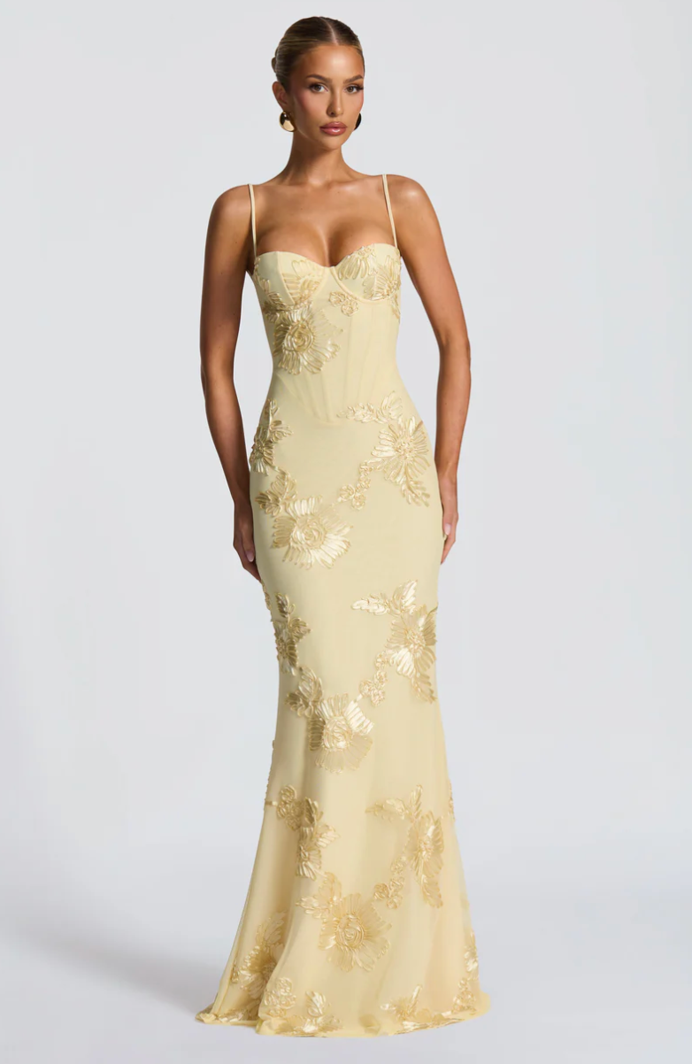 Nefertiti Maxi Dress stretch mesh fabric